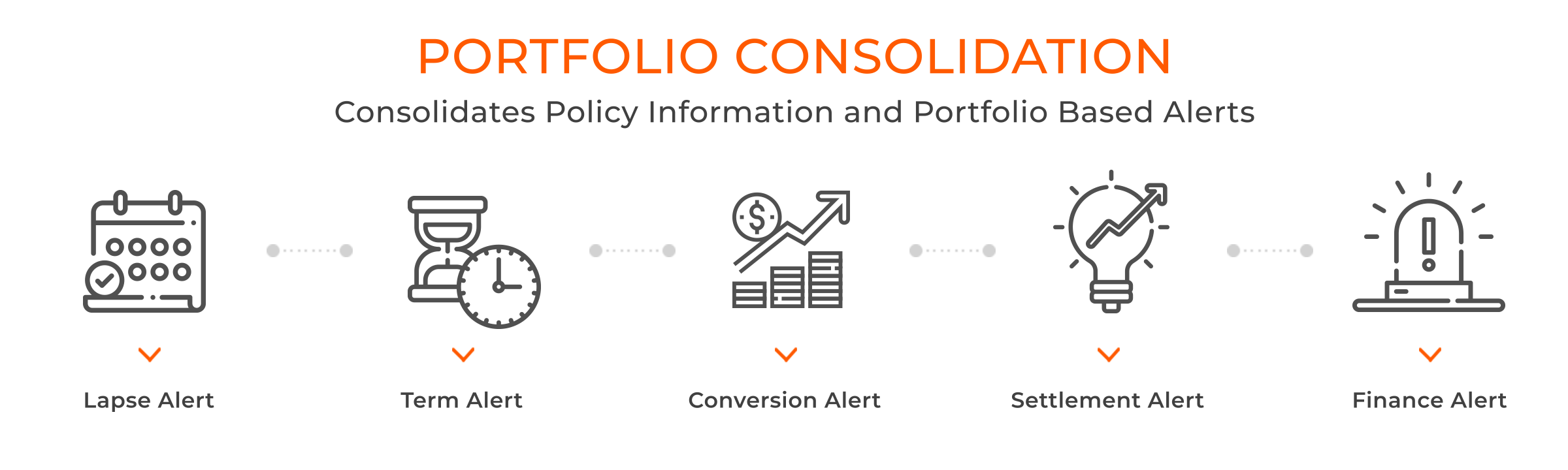 Portfolio Consolidation 